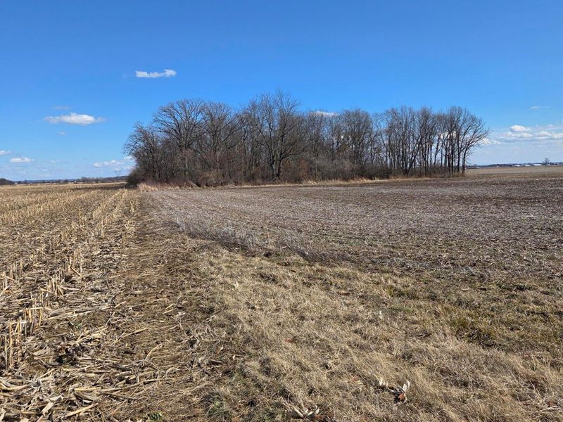 2105 Stonerock Road, Williamsport, OH 43164 Photo 16