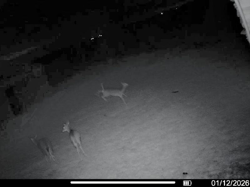 2105 Stonerock Road, Williamsport, OH 43164 Photo 21