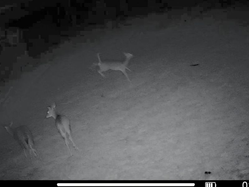 2105 Stonerock Road, Williamsport, OH 43164 Photo 22