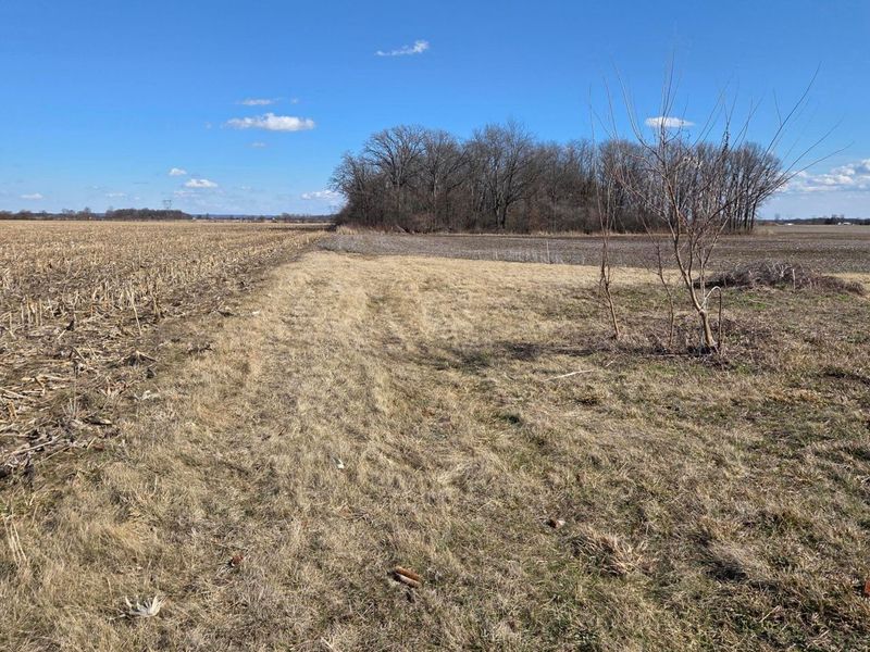 2105 Stonerock Road, Williamsport, OH 43164 Photo 5