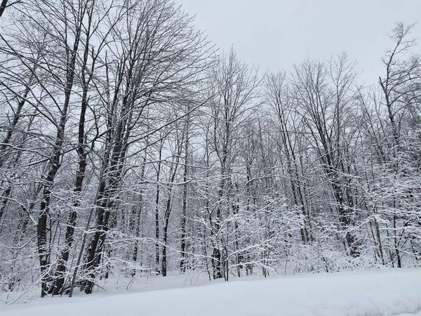 4647 Hillview Drive, Elmira, MI 00000