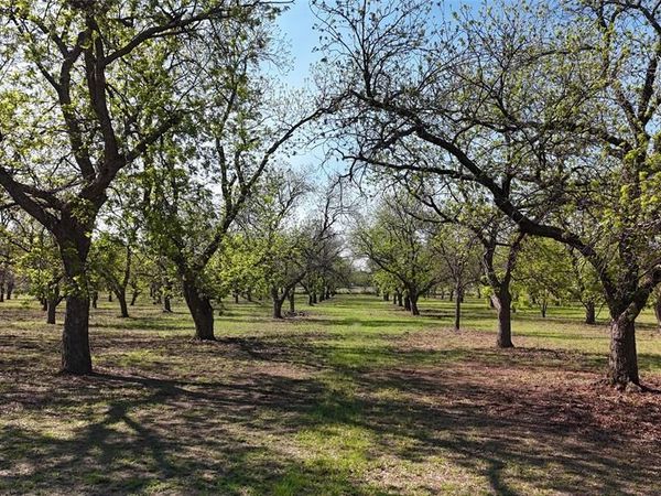 000 Pecan Lane, Newcastle, TX 76372