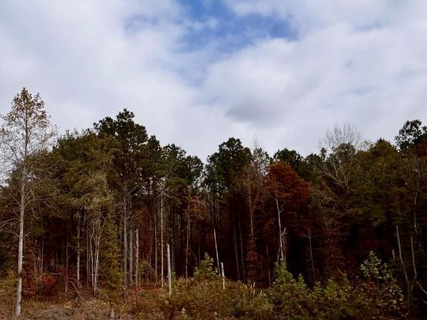 00 County Road 2346, Guntown, MS 38849