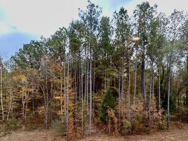 00 County Road 2346, Guntown, MS 38849