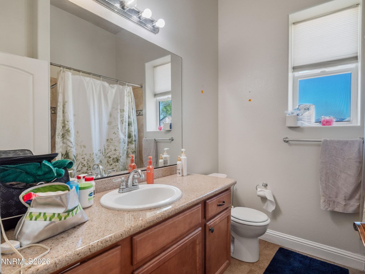 2704 Thirsty Magoo Court, Minden, NV 89423 Photo