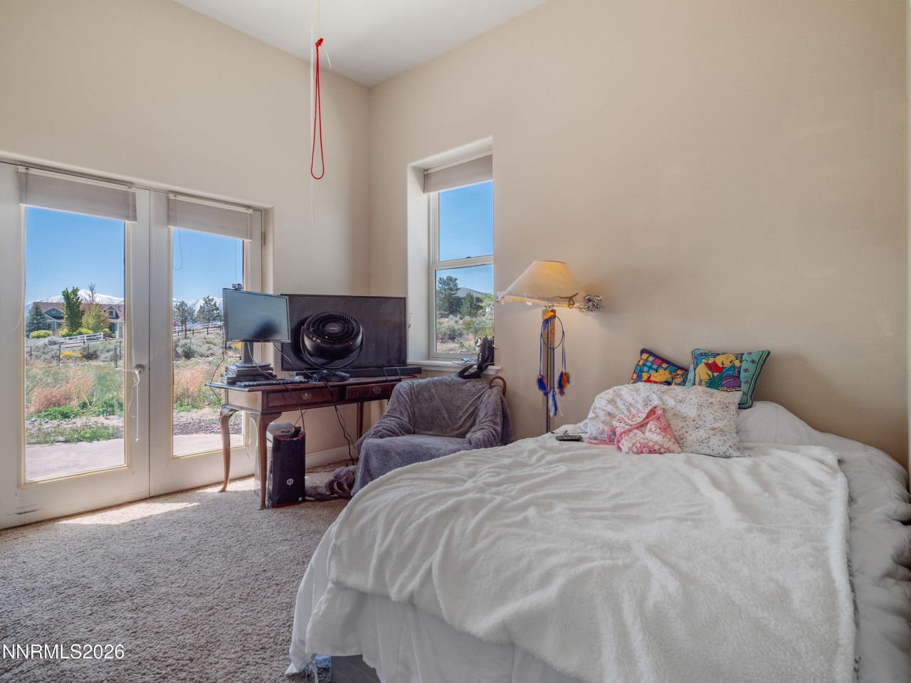 2704 Thirsty Magoo Court, Minden, NV 89423 Photo