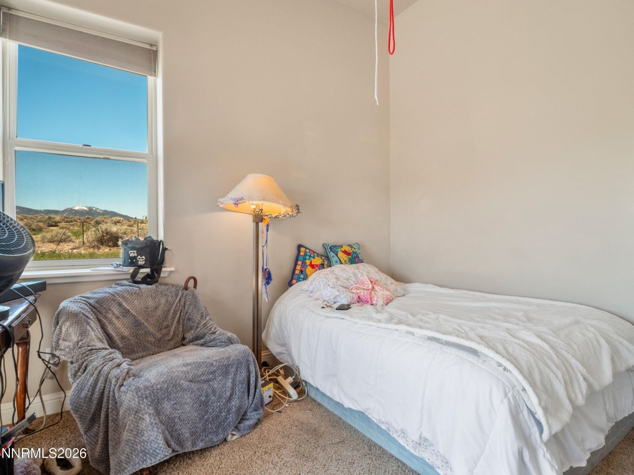 2704 Thirsty Magoo Court, Minden, NV 89423 Photo