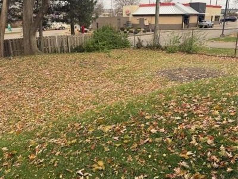 1729 Gambrinus Avenue SW, Canton, OH 44706 Photo 5