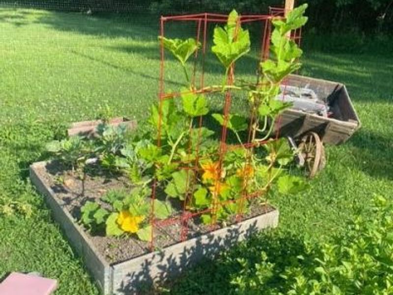 4400 Dunton Road, Lorain, OH 44055 Photo 19