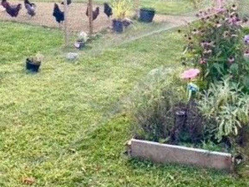 4400 Dunton Road, Lorain, OH 44055 Photo 20