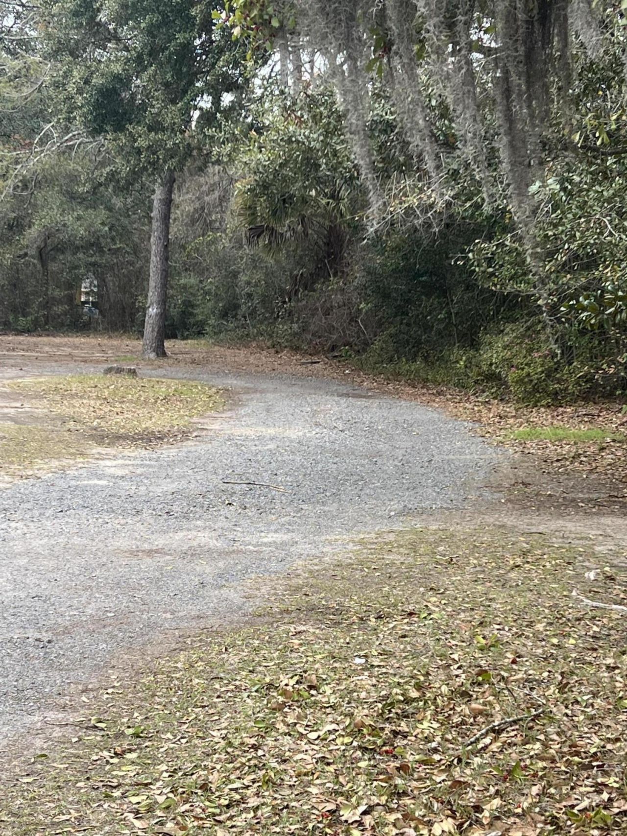 5629 Attaway Street Photo 3