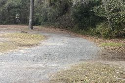 5629 Attaway Street photo 4