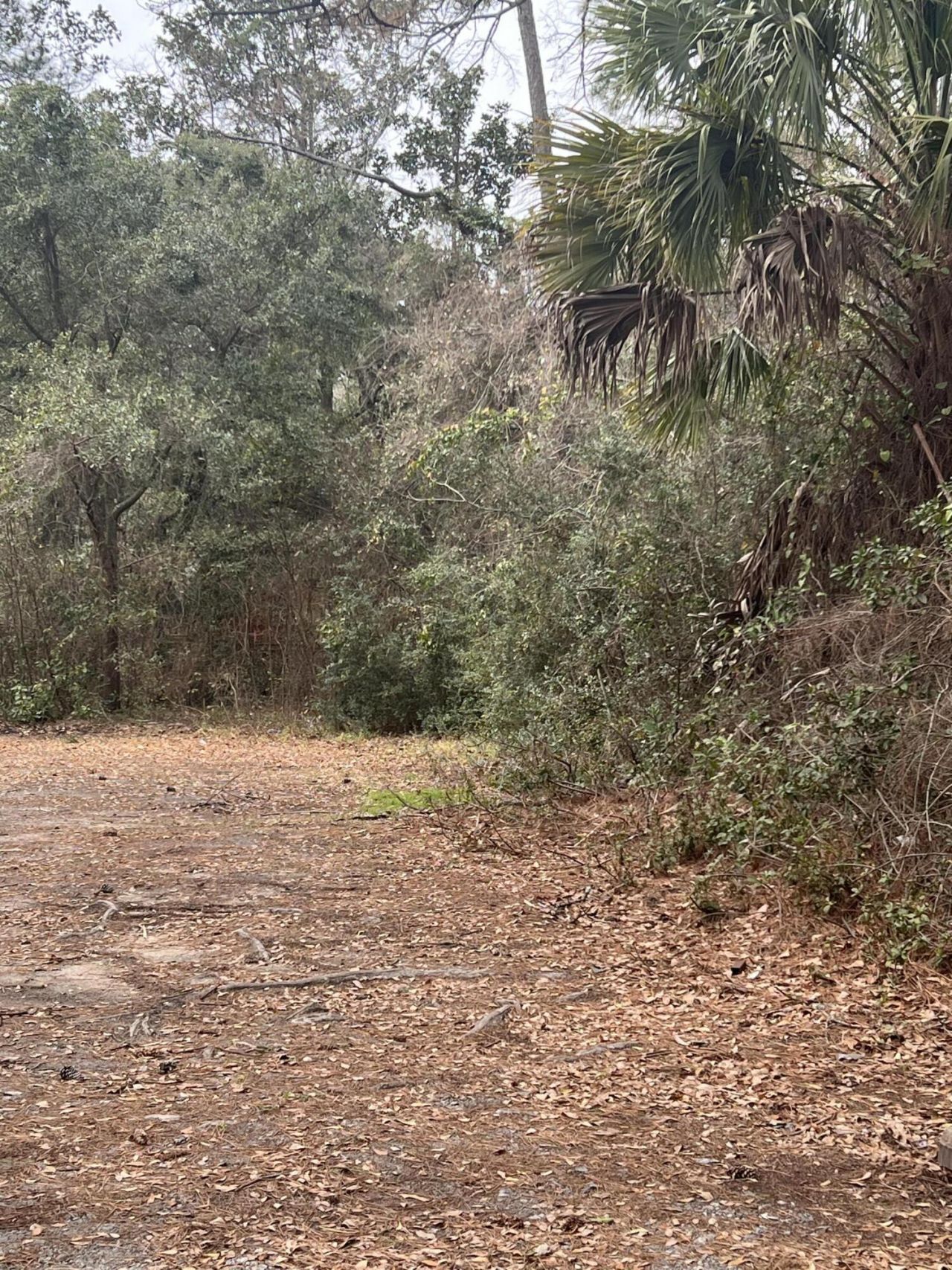 5629 Attaway Street Photo 4