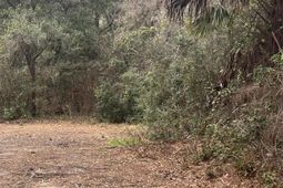 5629 Attaway Street photo 4