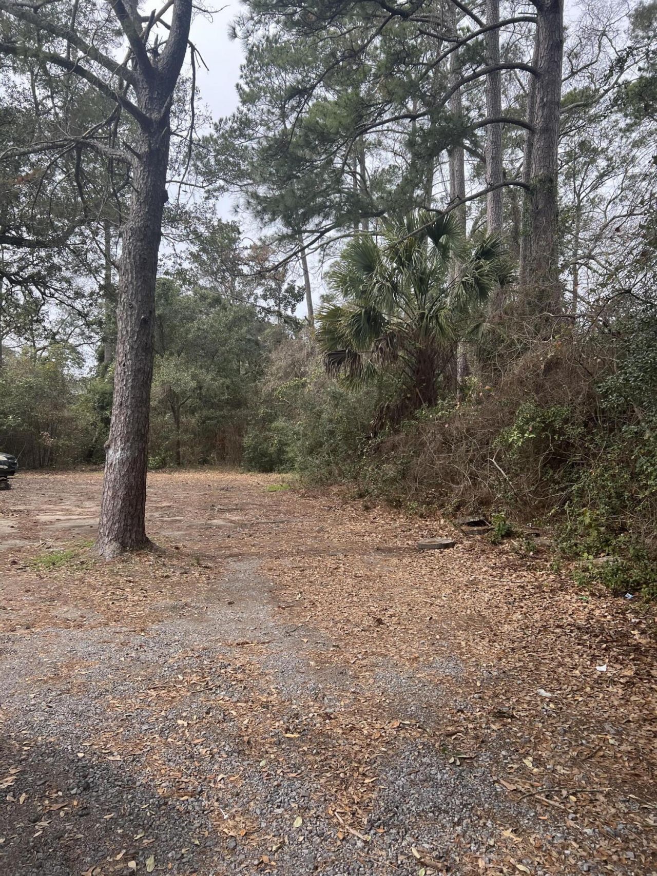 5629 Attaway Street Photo 5