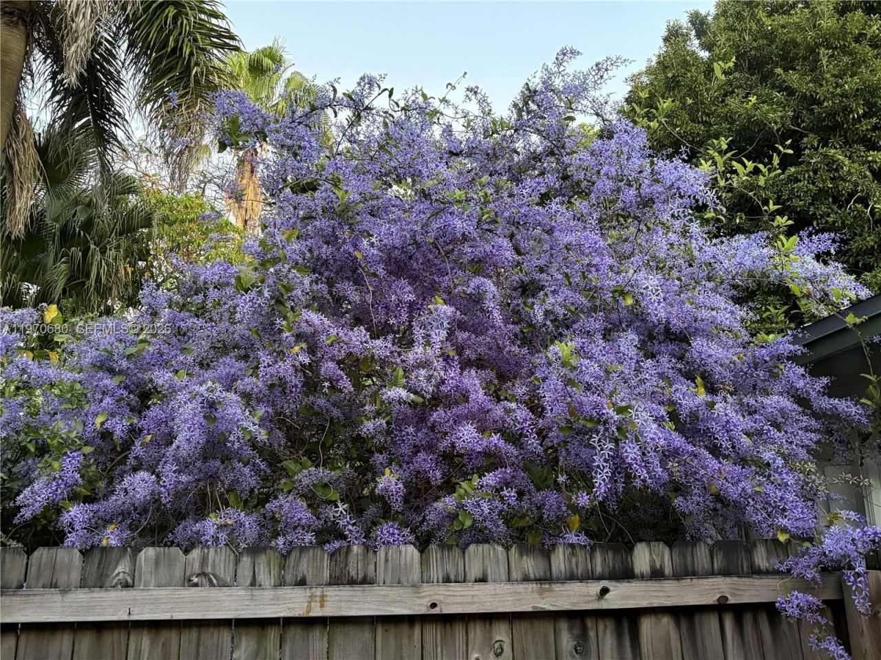 23755 SW 142nd Ave, Homestead, FL 33032 Photo