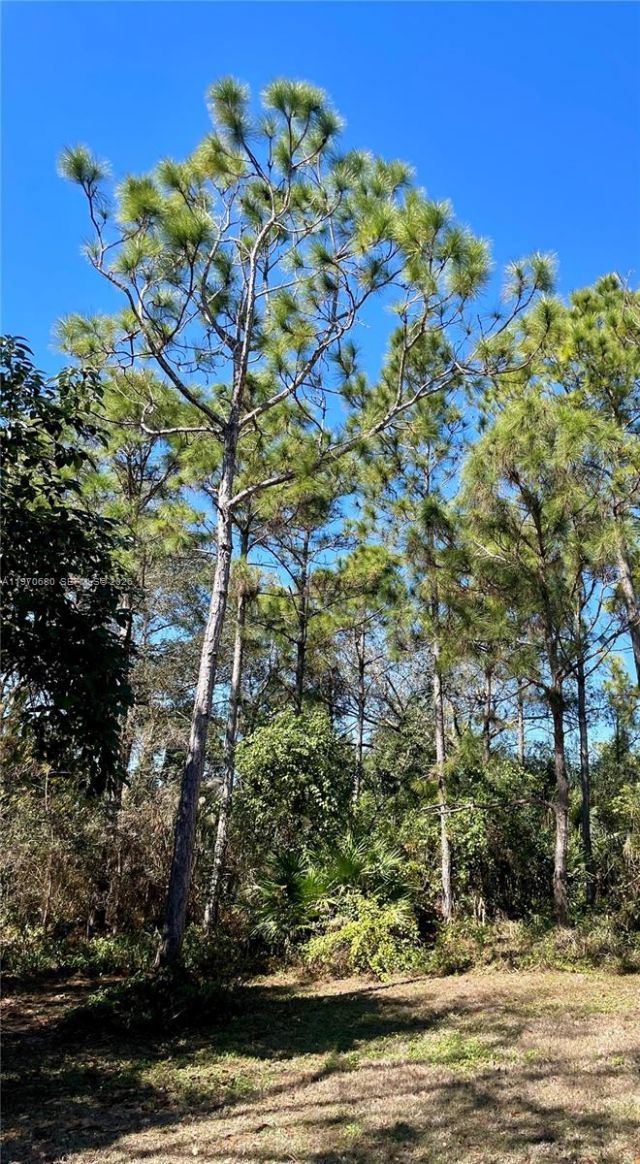 23755 SW 142nd Ave, Homestead, FL 33032 Photo