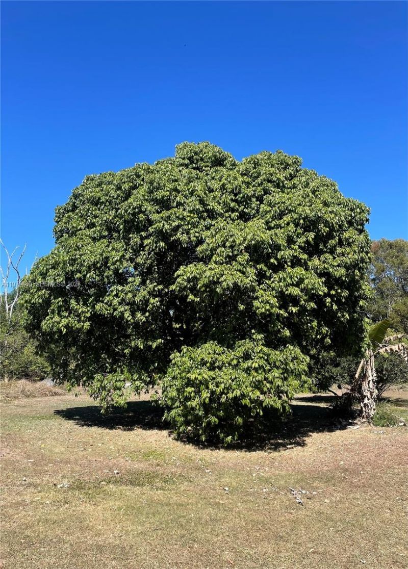 23755 SW 142nd Ave, Homestead, FL 33032 Photo