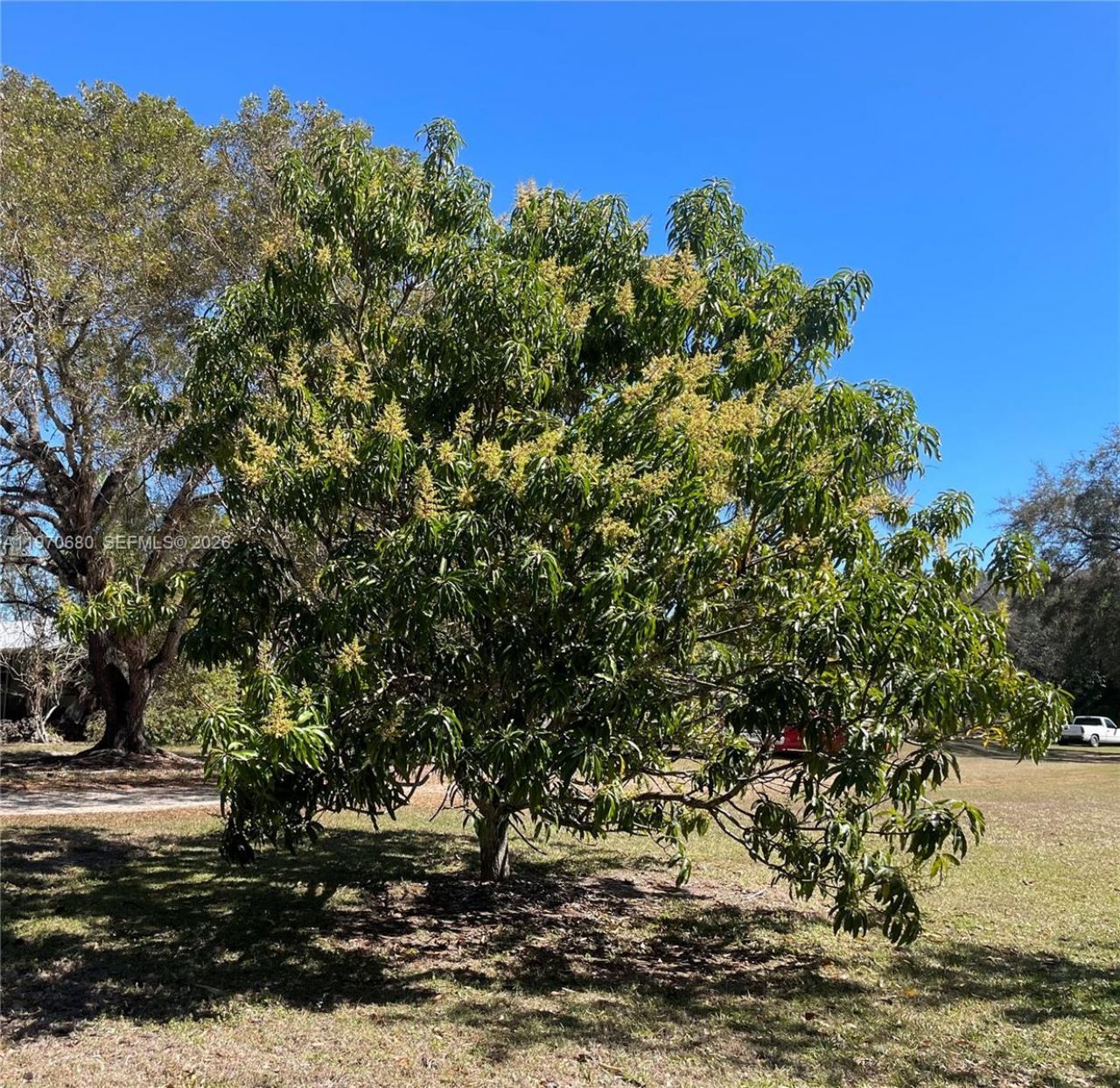 23755 SW 142nd Ave, Homestead, FL 33032 Photo