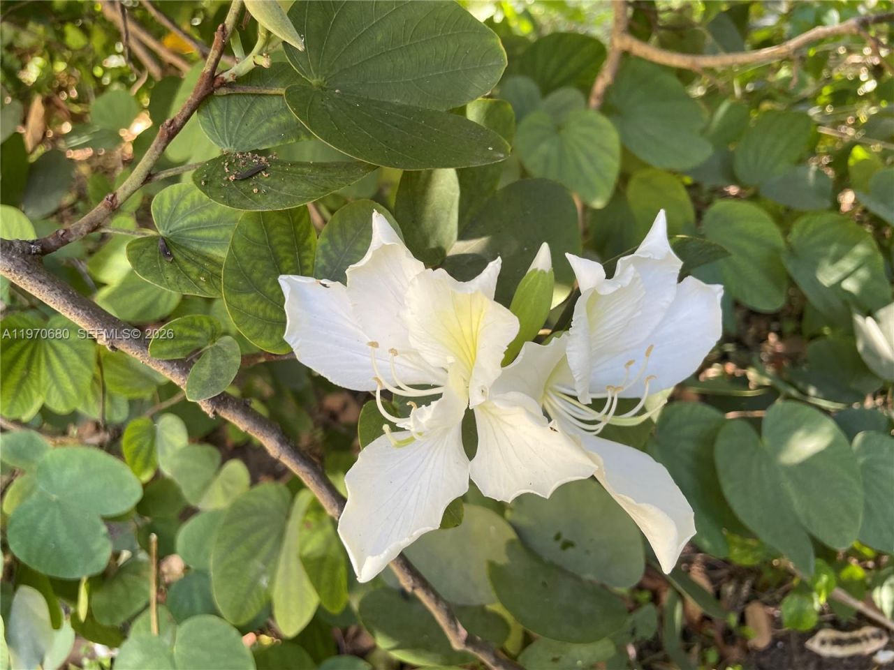 23755 SW 142nd Ave, Homestead, FL 33032 Photo