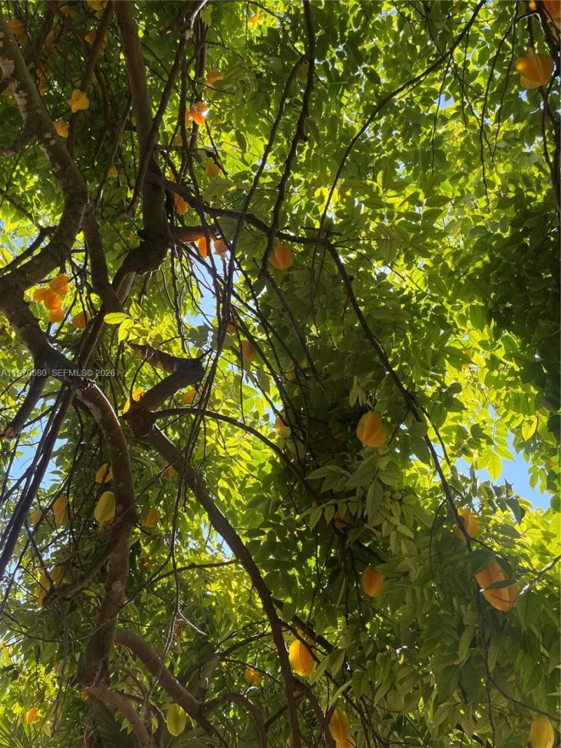 23755 SW 142nd Ave, Homestead, FL 33032 Photo