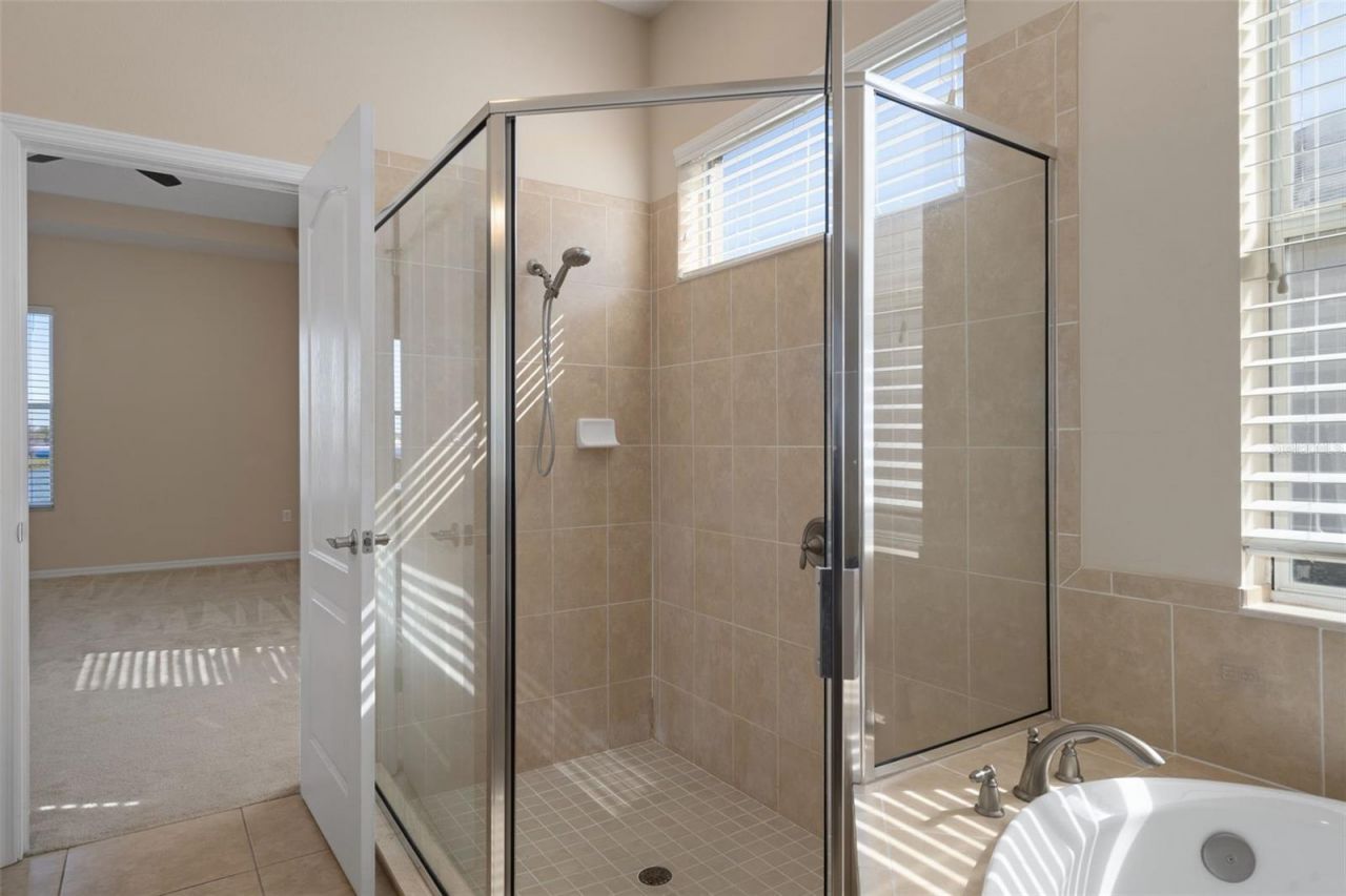 4206 Windcrest Drive, Wesley Chapel, FL 33544 Photo