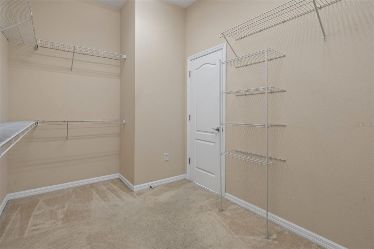 4206 Windcrest Drive , Wesley Chapel, FL 33544 Photo