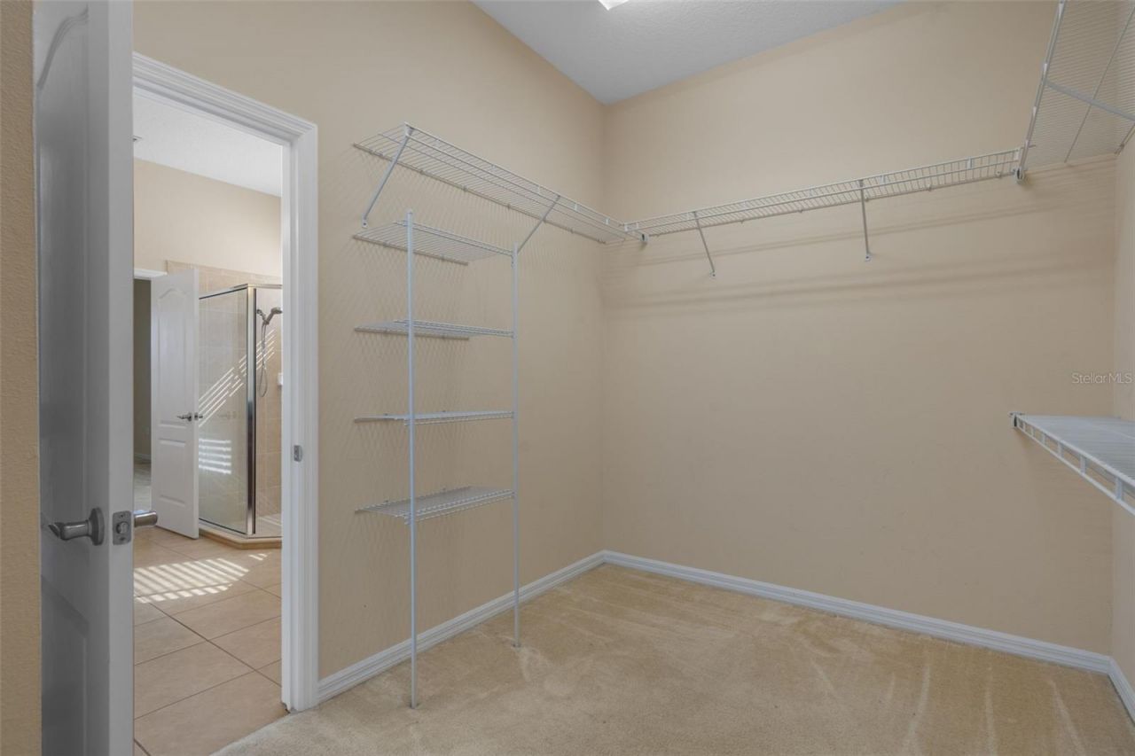 4206 Windcrest Drive , Wesley Chapel, FL 33544 Photo