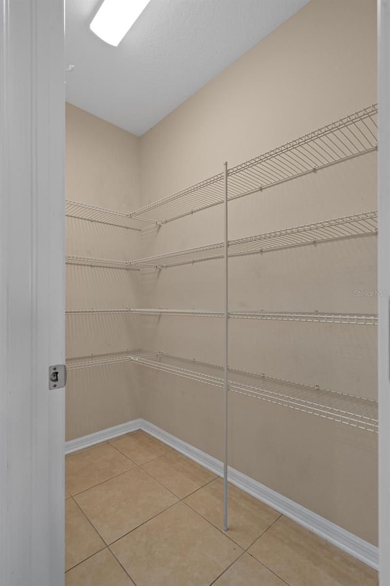 4206 Windcrest Drive, Wesley Chapel, FL 33544 Photo