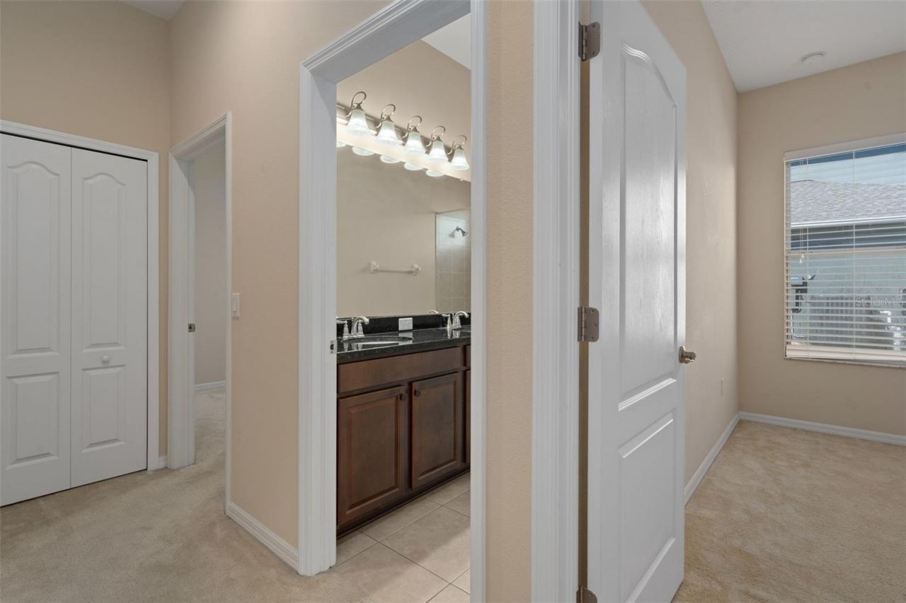 4206 Windcrest Drive , Wesley Chapel, FL 33544 Photo