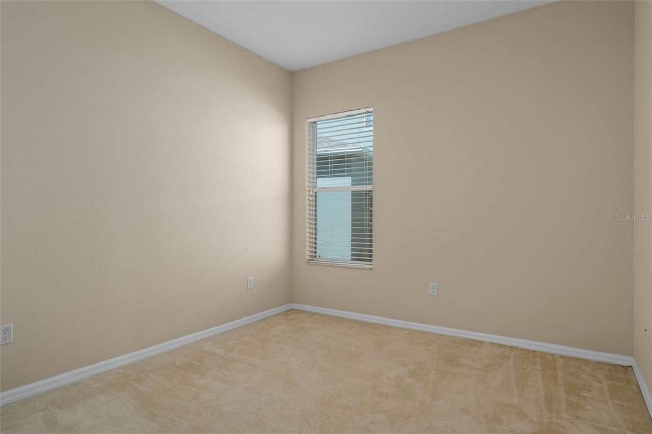 4206 Windcrest Drive , Wesley Chapel, FL 33544 Photo