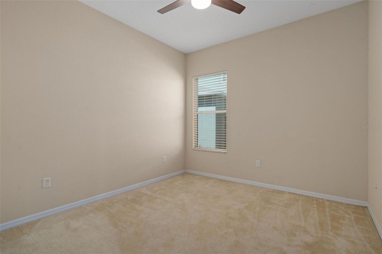 4206 Windcrest Drive , Wesley Chapel, FL 33544 Photo