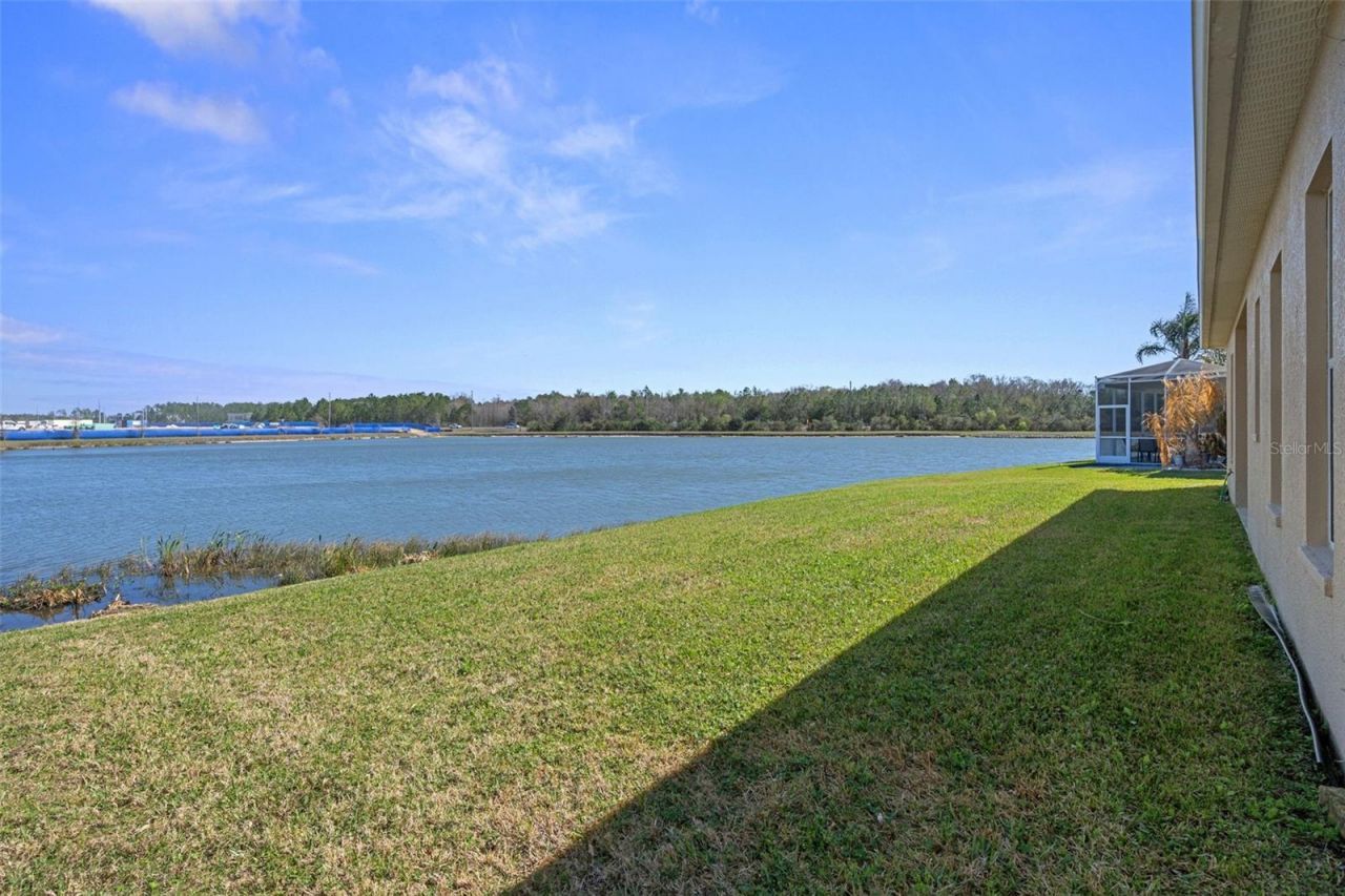 4206 Windcrest Drive, Wesley Chapel, FL 33544 Photo