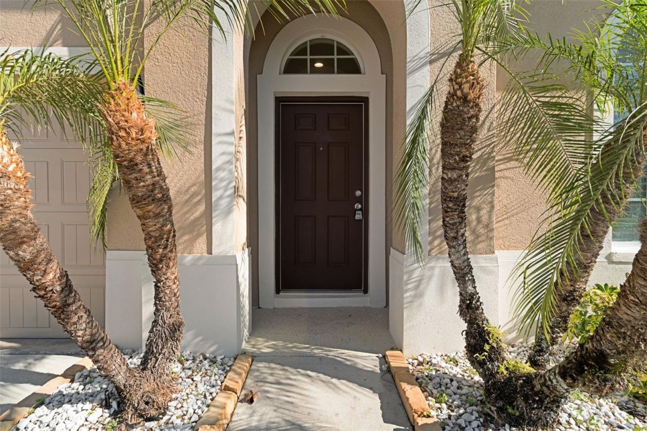 4206 Windcrest Drive , Wesley Chapel, FL 33544 Photo