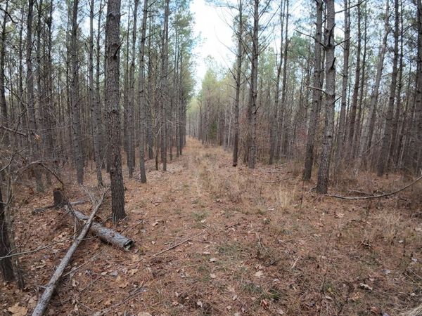 240 Brookstone Dr, Linden, TN 37096