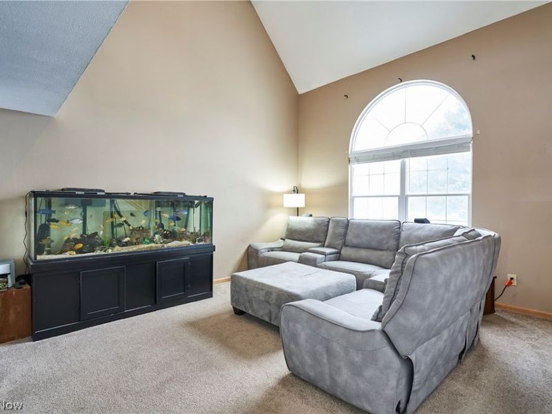 123 Woodbine Oval, Madison, OH 44057 Photo 12