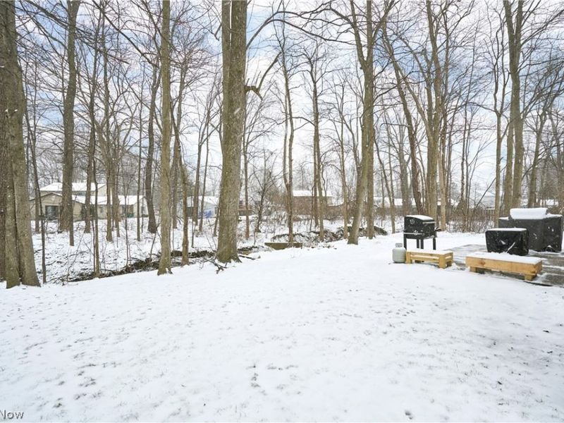 123 Woodbine Oval, Madison, OH 44057 Photo 24