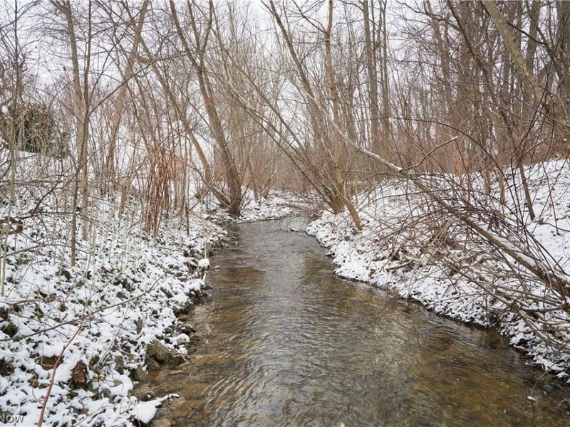 123 Woodbine Oval, Madison, OH 44057 Photo 25