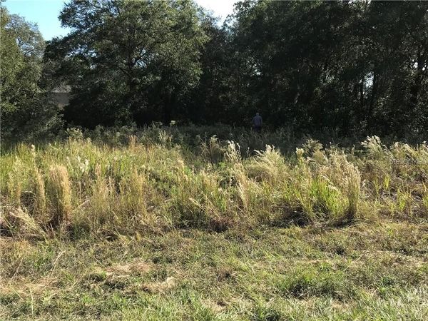 SW 141ST CT , OCALA, FL 34481