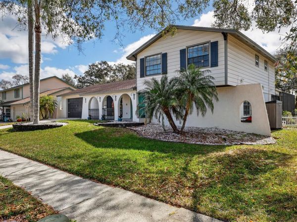 4628 CLOVERLAWN DRIVE , TAMPA, FL 33624