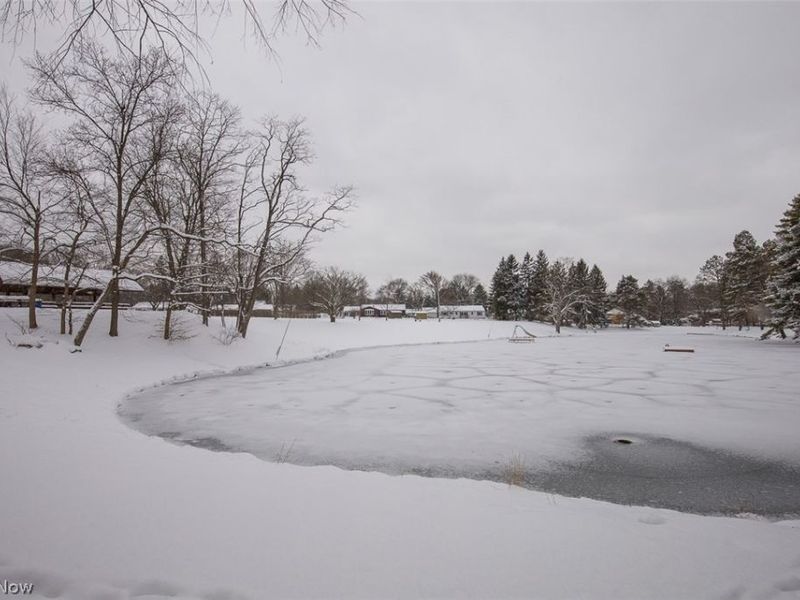 14686 Drake Road, Strongsville, OH 44136 Photo 47