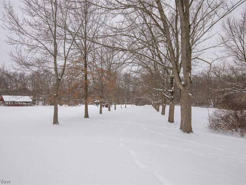 14686 Drake Road, Strongsville, OH 44136 Photo 48