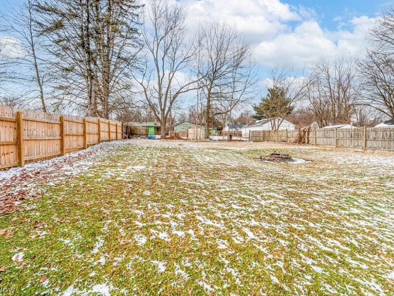 3524 Champlain Avenue, Youngstown, OH 44502 Photo 2