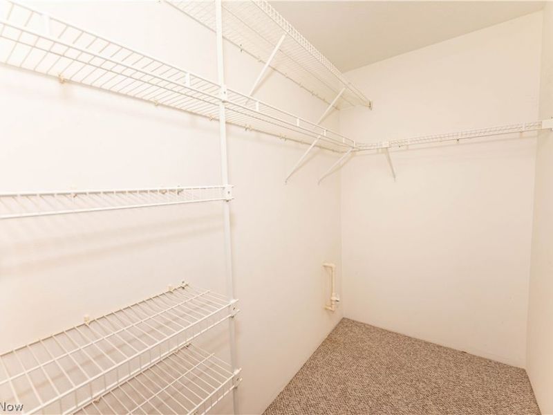 695 N Creek Drive, Painesville Township, OH 44077 Photo 19