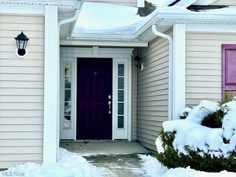 5302 Spruce Pointe Lane, Brunswick, OH 44212 Photo 2