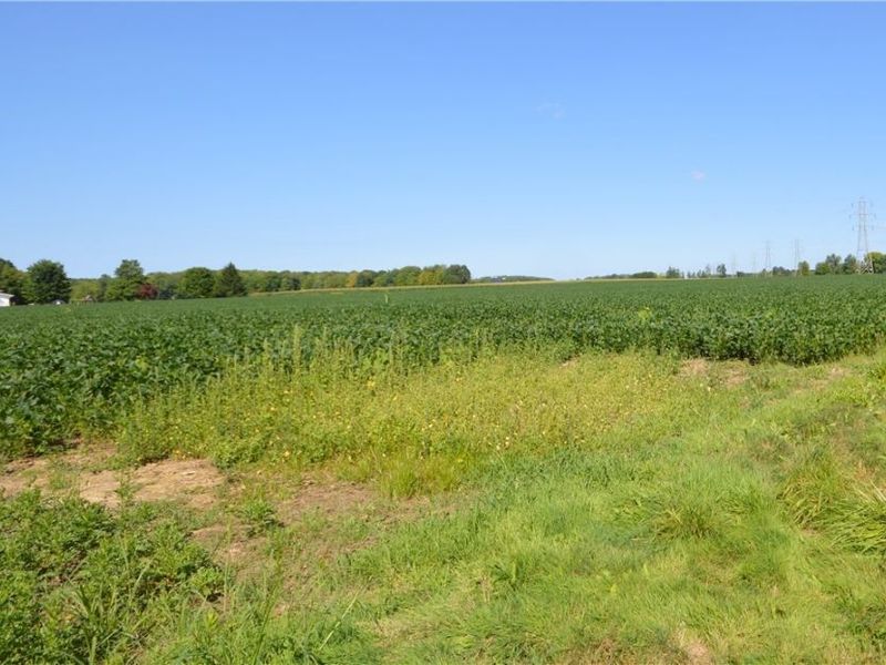 VL Atkins Rd, Geneva, OH 44041 Photo 3