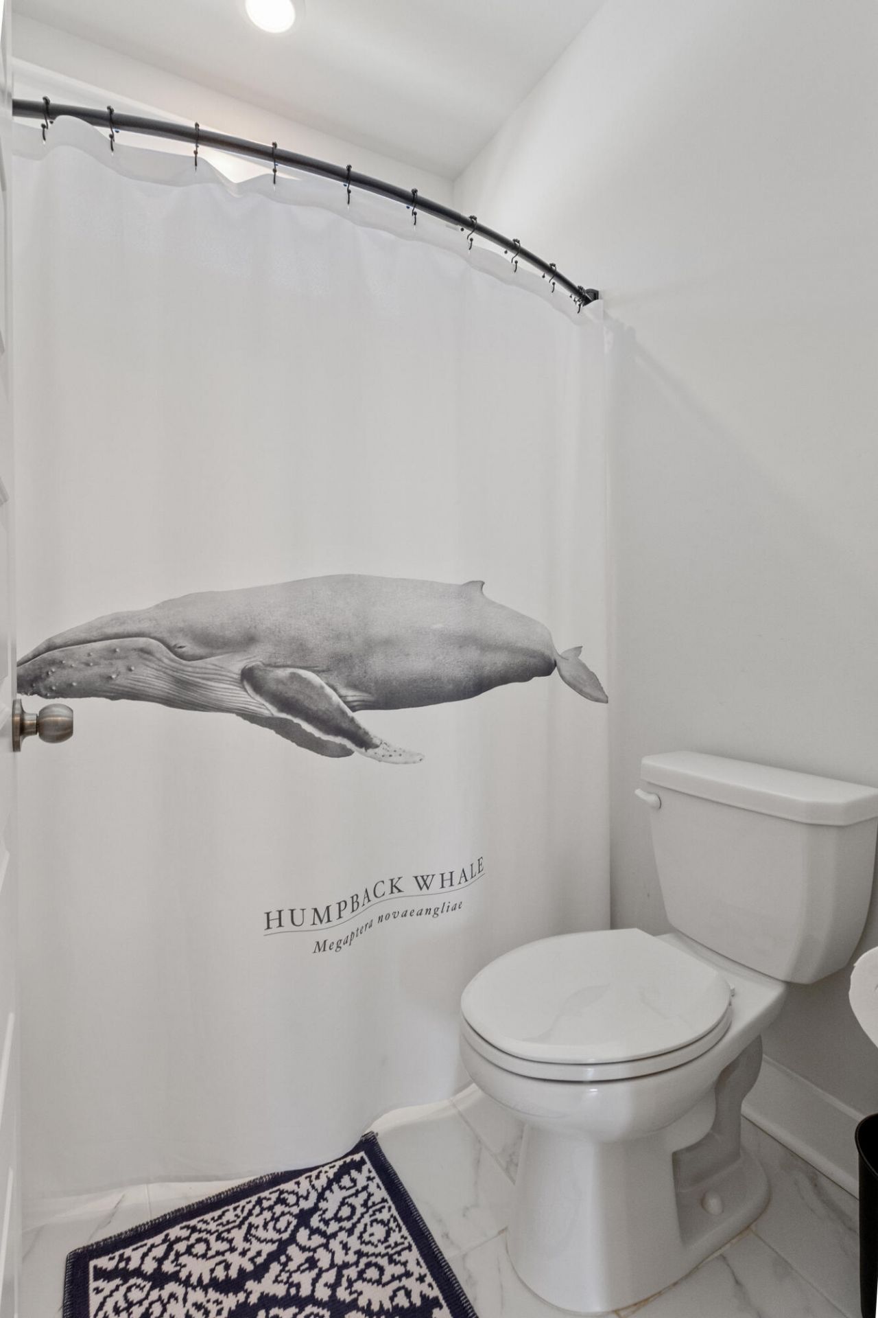 2810 Pinelog Lane Photo 29