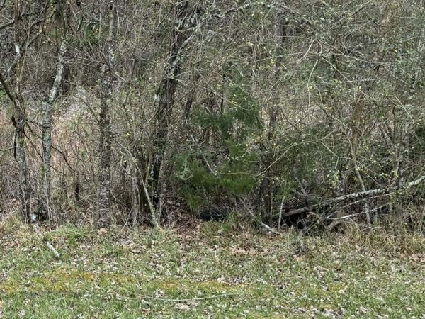 Old Vicksburg Rd Road, Clinton, MS 39056