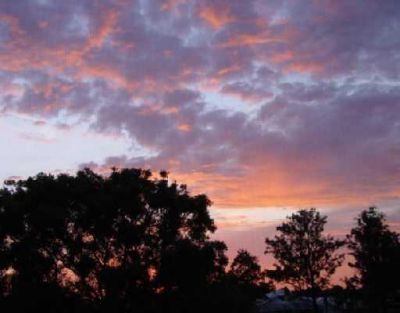 6161 NW 2nd Avenue, Unit 520, Boca Raton, FL 33487 Photo