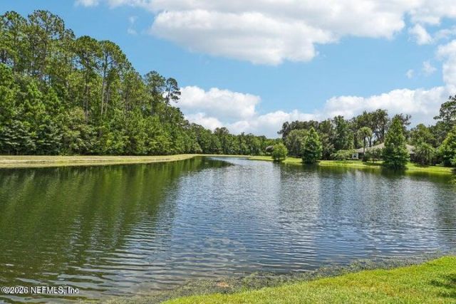 2517 Sunny Creek Drive, Fleming Island, FL 32003 Photo